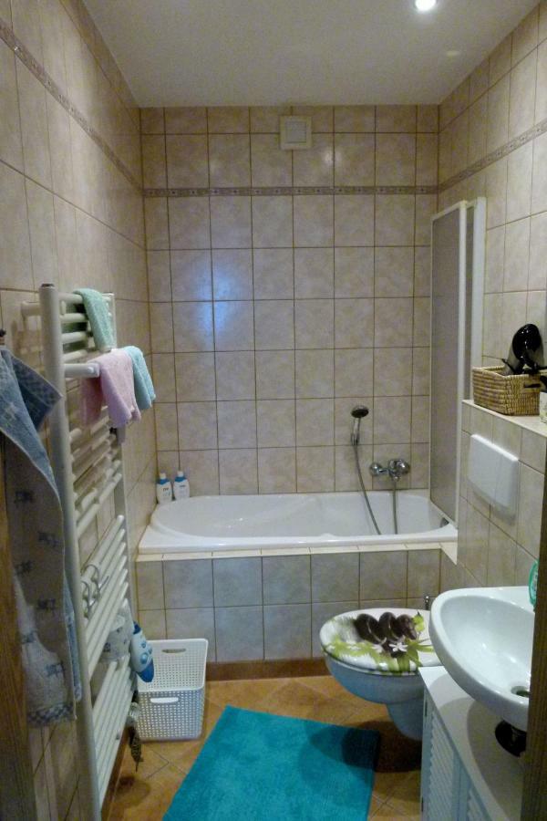 Ferienwohnung Karo Ellefeld Luaran gambar
